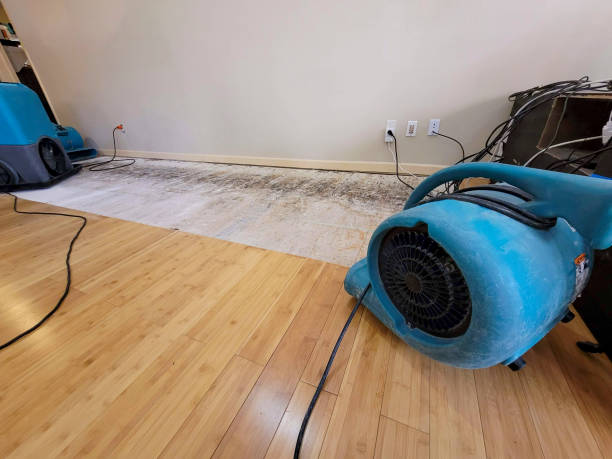 Reliable Basement Flood Cleanup contractor in East Falmouth, MA by Hirex Water Damage