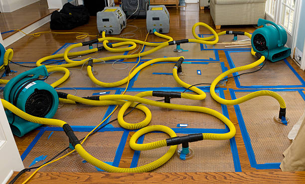 Professional Basement Flood Cleanup technician working in East Falmouth, MA